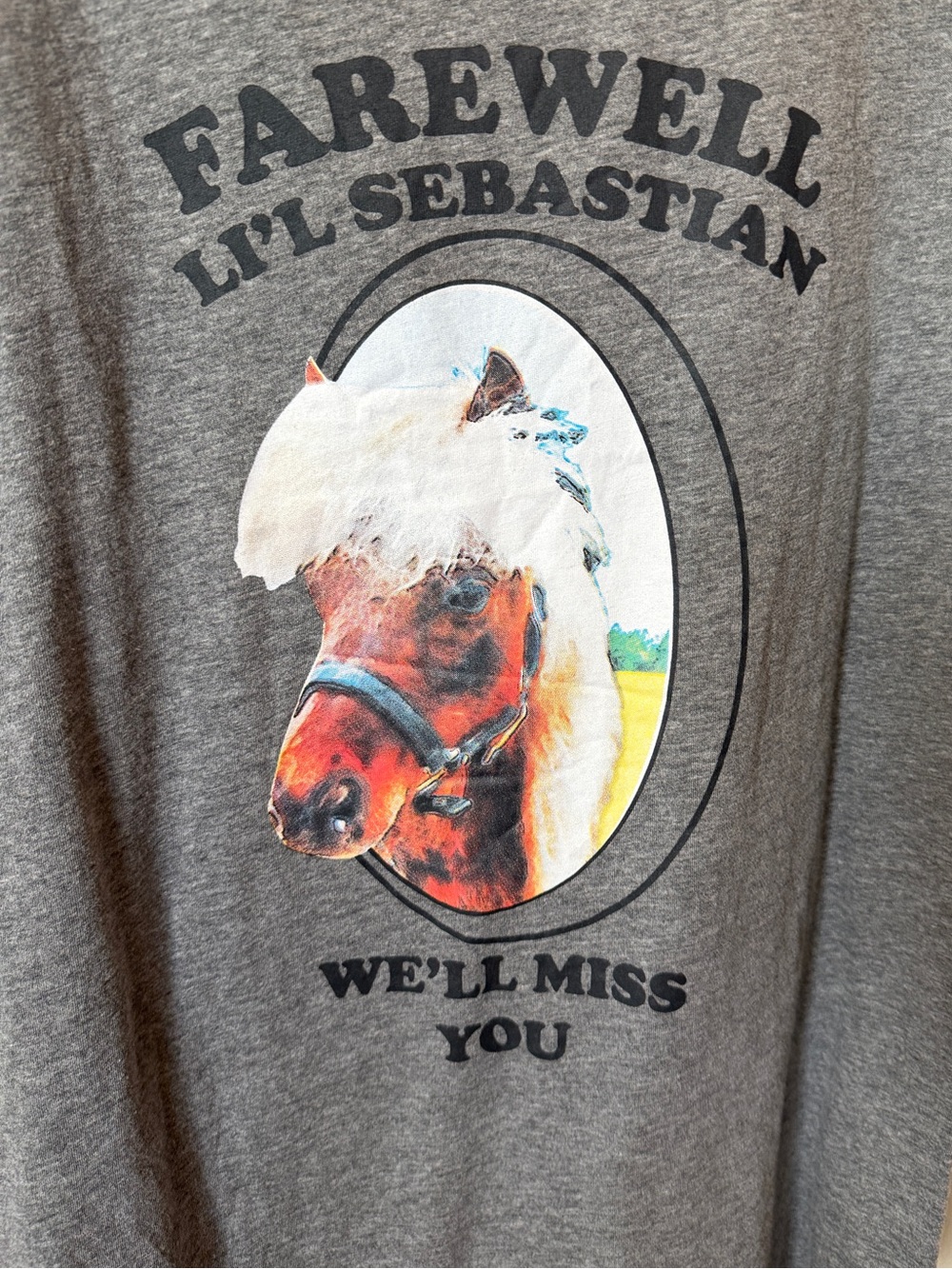 Torrid Parks and Rec Horse Graphic T-Shirt 2x